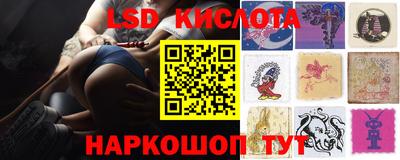 шишки Будённовск