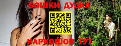 шишки Будённовск