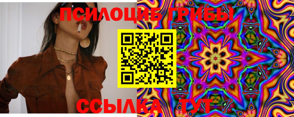 Галлюциногенные грибы MAGIC MUSHROOMS  Вход с VPN  Свободный 